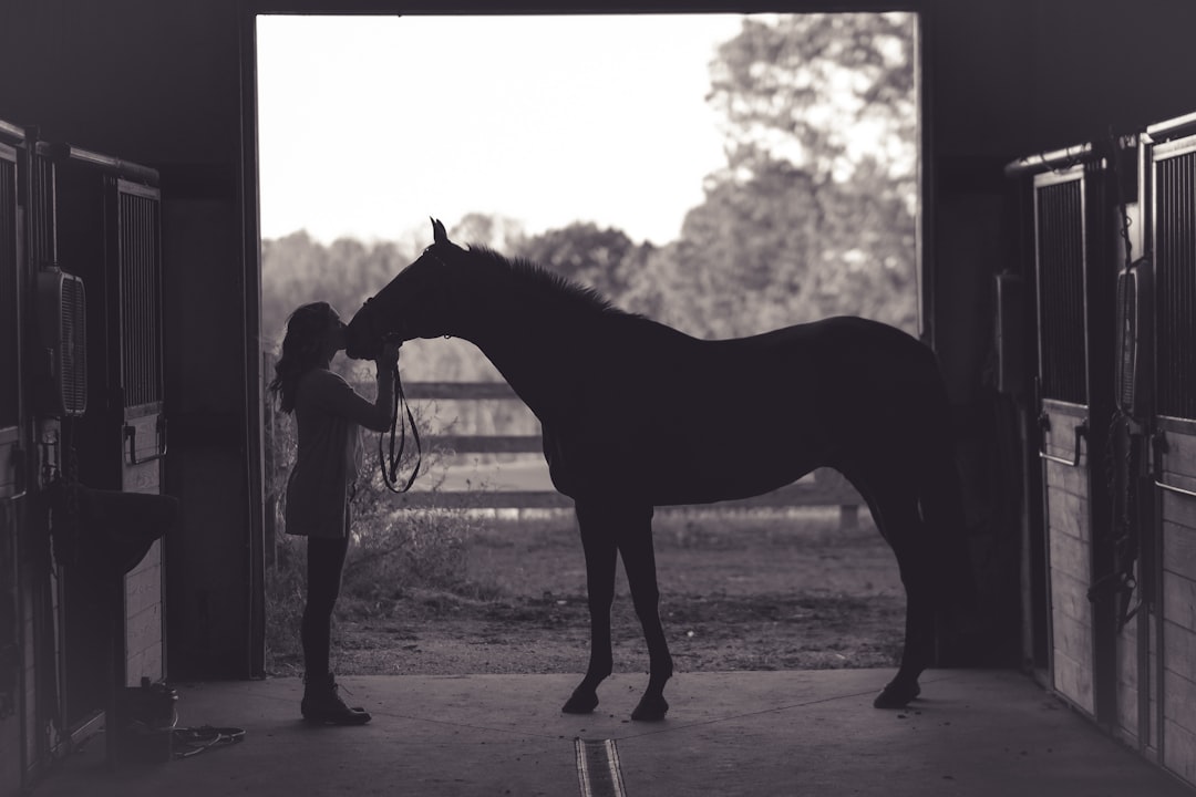 Photo Horse riding